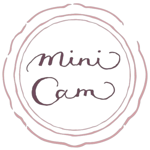 miniCam